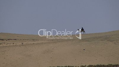 Camel and man in distance on desert