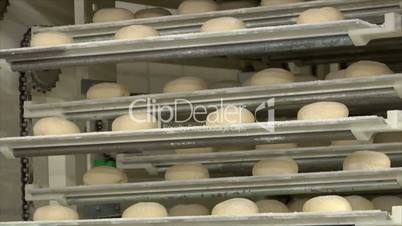 german bakery roll bun on conveyor belt elevator 10739