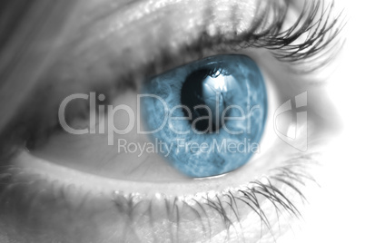 Black and White Female Eye Closeup with Blue Iris