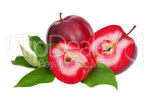 Apfel rot freigestellt - apple red isolated 01