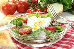 Salat mit pochiertem Ei, Zwiebeln und Radieschen