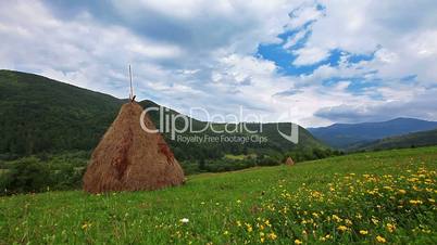 summer landscape with hut