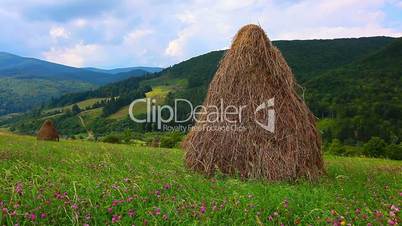 summer landscape with hut
