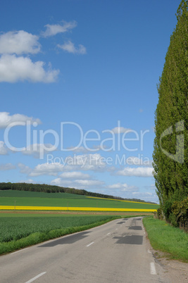 Eure, a country road in Gasny