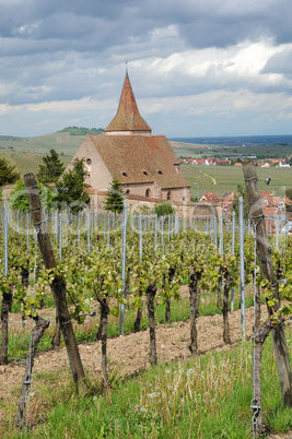 Saint Jacques le Majeur church in Hunawihr