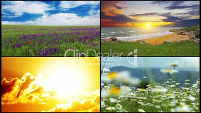 series of summer landscape