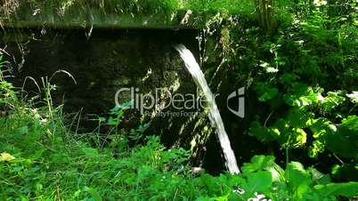 mountain stream in the forest