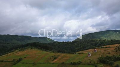 forest on cloudy sky background