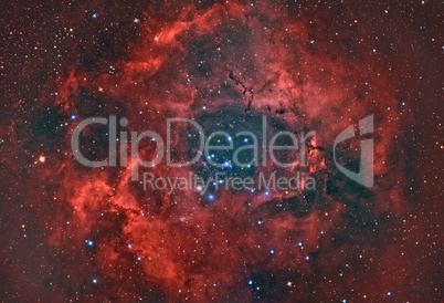 Rosette Nebula