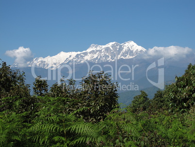 Annapurna Range And Fern