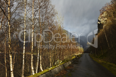 run-down road in rural landscape