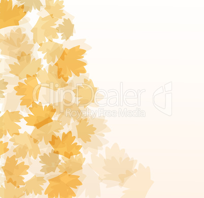 Beautiful autumn background with maple leaves