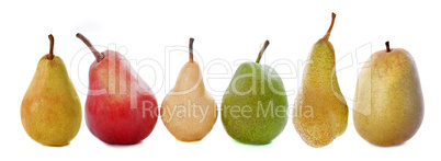 varieties of pears