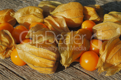 Physalis / Golden Strawberry