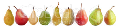 varieties of pears