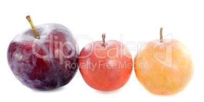 three plums