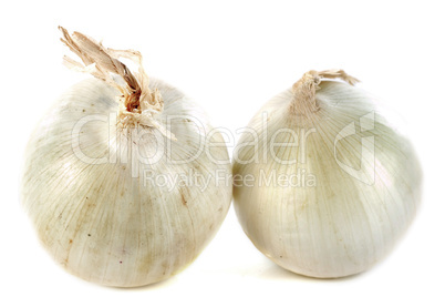 white onions