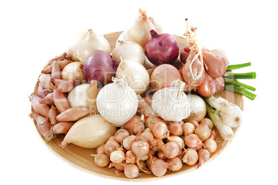 varieties of onions