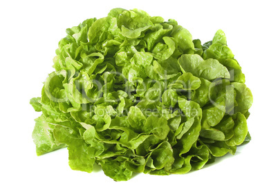 green salad