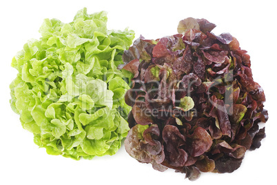 red and green salads