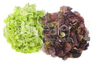 red and green salads