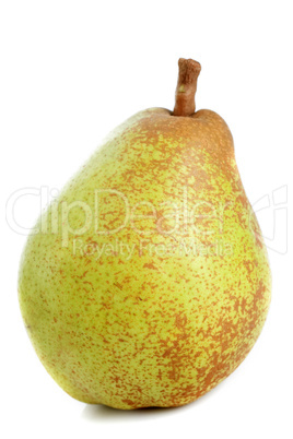 conference pear