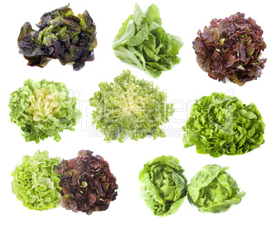 varieties of salads
