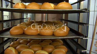 german bakery roll bun out of rotary oven 10768