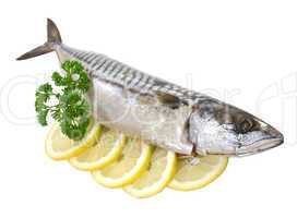 Salted mackerel with lemon on a white background