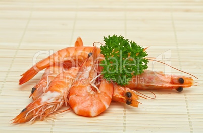 Shrimp with parsley close up