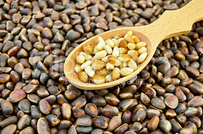 Cedar nuts in a spoon