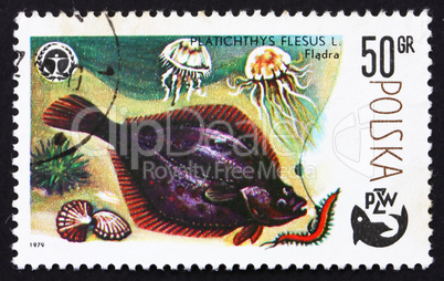 Postage stamp Poland 1979 Flounder, Platichthys Flesus, Fish