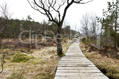 wooden foot path in rural landscape