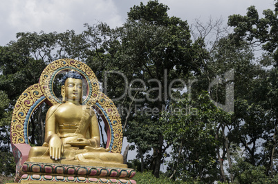 golden buddha with trees in background