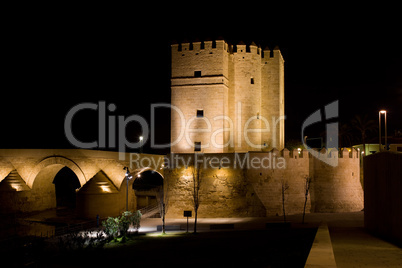 Calahorra Tower in Cordoba at Night