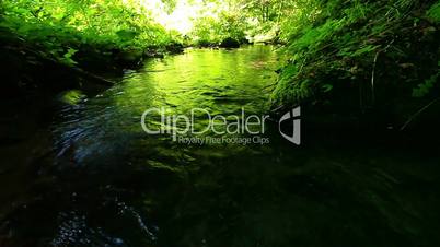 mountain stream in the forest