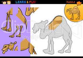Cartoon dromedary camel puzzle game