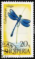 Postage stamp Portugal 1966 Blue Dragonfly, Calopteryx Virgo