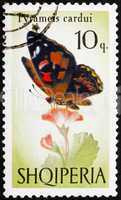 Postage stamp Portugal 1966 Painted Lady, Butterfly, Pyrameis Ca