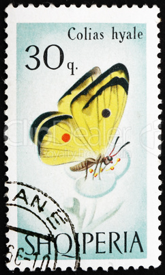 Postage stamp Portugal 1966 Cloudless Sulphur Butterfly, Colias