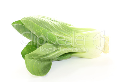 roher knackiger Pak choi