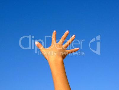 Female hand on a background of the blue sky