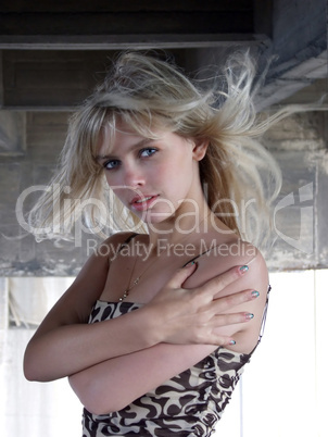 Portrait of the young beautiful sexy girl ? blondes 2 Portrait of the young beautiful sexy girl ? blondes 2