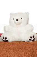 Big white teddy bear