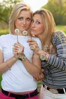 Two blonde with a dandelions