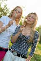 Two young blonde blowing on a dandelion.