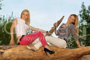 Two beautiful blonde sitting on a tree branch