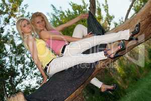 Two smiling young blonde sitting on a tree