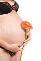 Belly of a pregnant young woman. Isolated