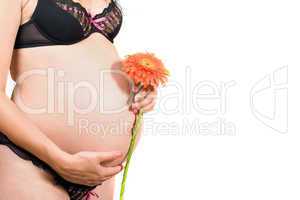 Belly of a pregnant girl. Isolated